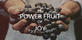 The Power Fruit of Joy
